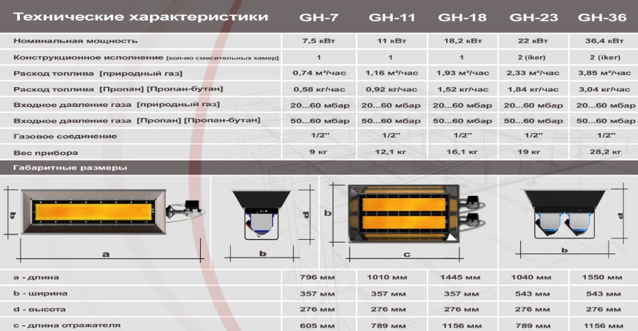 gh-info-5